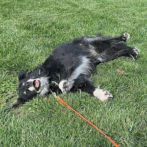 Meet your Posher, Allyson